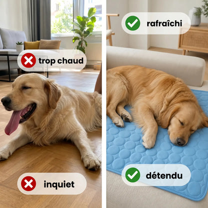 Tapis rafraîchissant Arctic™— 2 pour 1