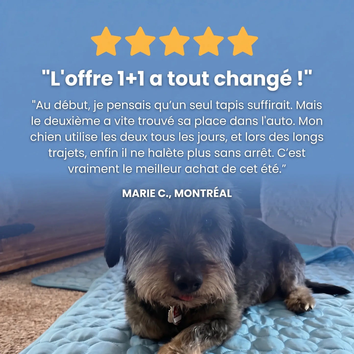 Tapis rafraîchissant Arctic™— 2 pour 1
