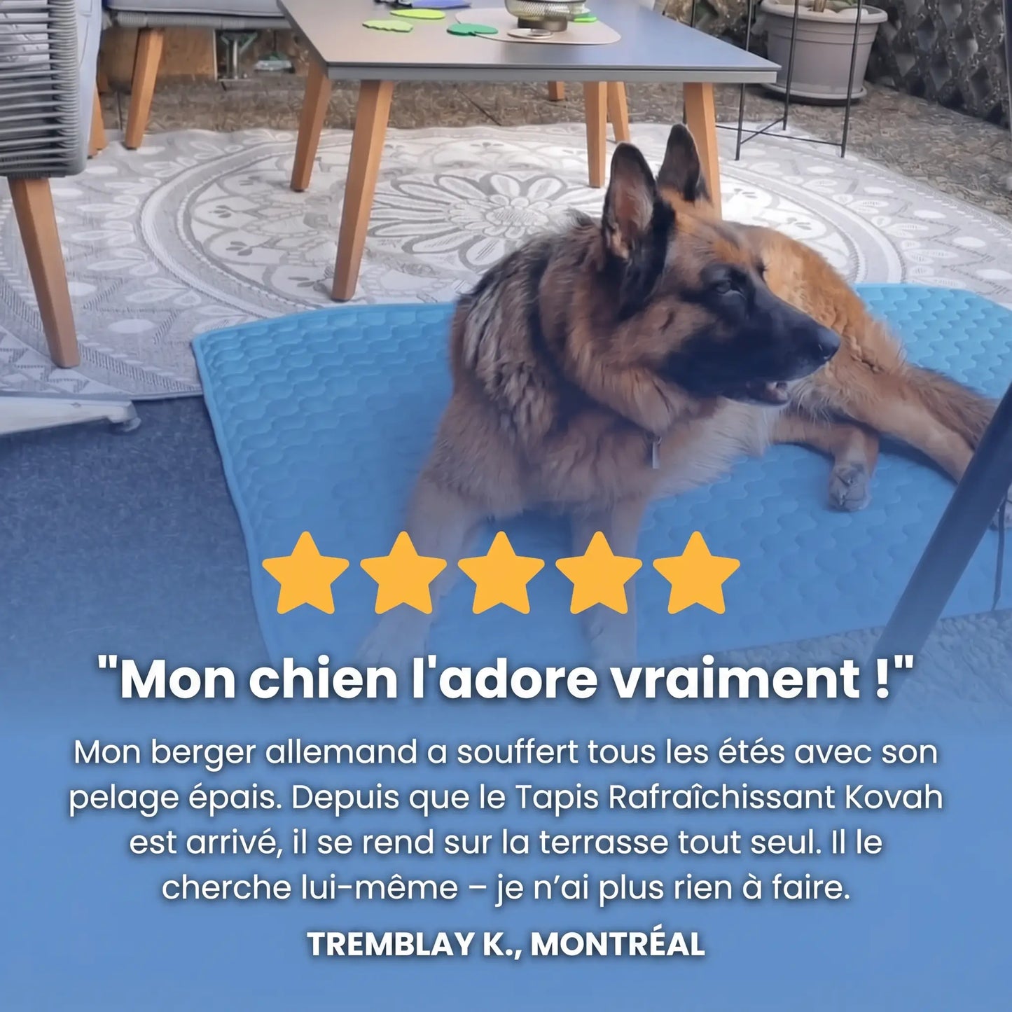 Tapis rafraîchissant Arctic™— 2 pour 1