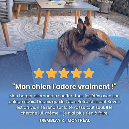Tapis rafraîchissant Arctic™— 2 pour 1