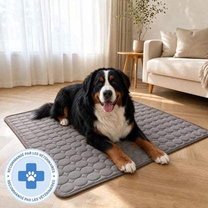 Tapis rafraîchissant Arctic™— 2 pour 1